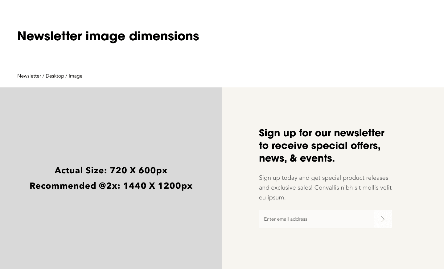 Newsletter image dimensions.png